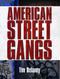 American Street Gangs
