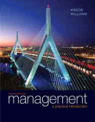 Management A Practical Introduction