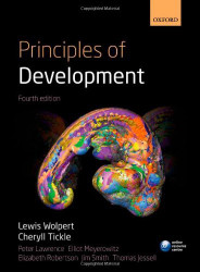 Principles Of Development