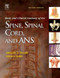 Clinical Anatomy Of The Spine Spinal Cord And Ans