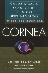 Cornea