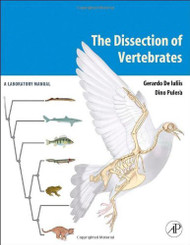 Dissection Of Vertebrates A Laboratory Manual