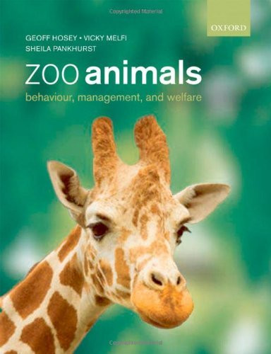 Zoo Animals