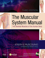 Muscular System Manual