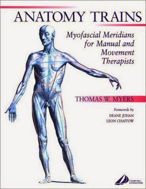 Anatomy Trains - Thomas W Myers