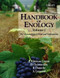 Handbook Of Enology Volume 1