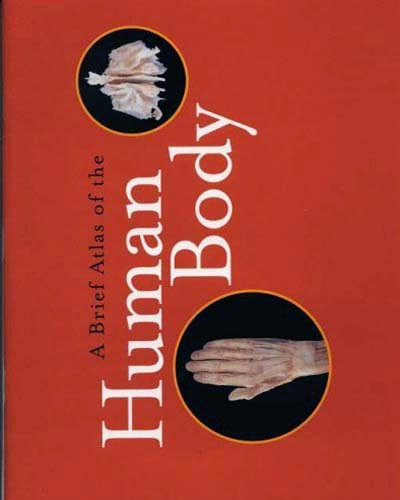 Brief Atlas Of The Human Body