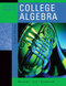 Graphical Approach To College Algebra