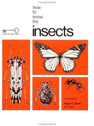 How To Know The Insects