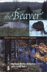 Beaver