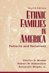 Ethnic Families In America