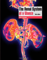 Renal System At A Glance