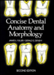 Concise Dental Anatomy And Morphology