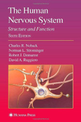 Human Nervous System