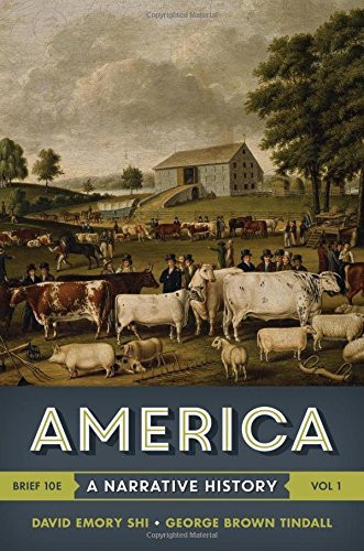 America A Narrative History Brief Edition