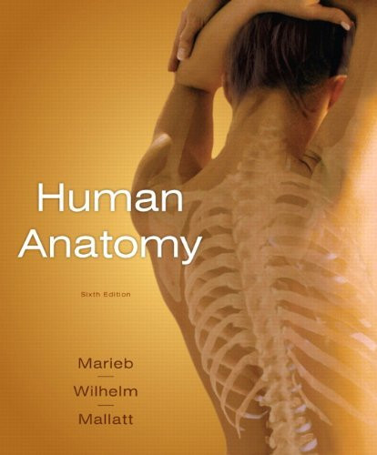 Human Anatomy