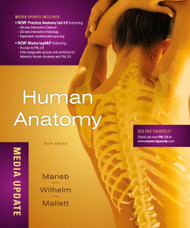 Human Anatomy