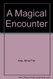 Magical Encounter