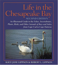 Life In The Chesapeake Bay