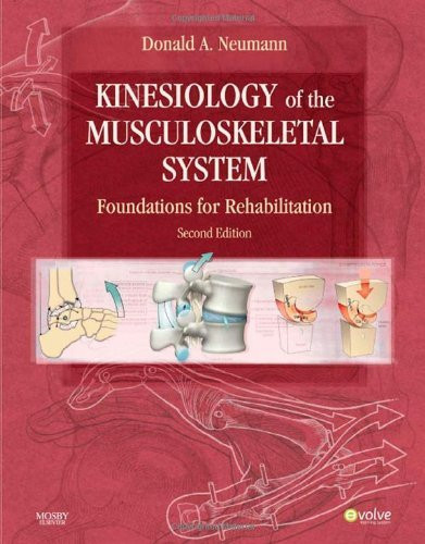 Kinesiology Of The Musculoskeletal System