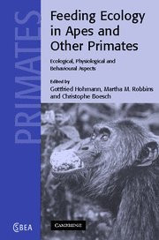 Feeding Ecology In Apes And Other Primates