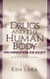 Drugs And The Human Body