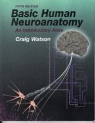 Basic Human Neuroanatomy