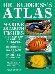 洋書　Dr. Burgess's Atlas of 海水魚　大型本 Dr Burgess's Atlas of Marine Aquarium Fishes by Warren E