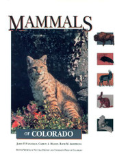 Mammals Of Colorado