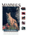 Mammals Of Colorado