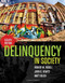 Delinquency In Society