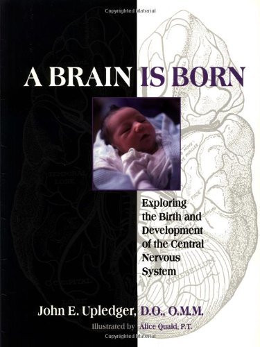 Brain Is Born