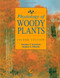 Physiology Of Woody Plants