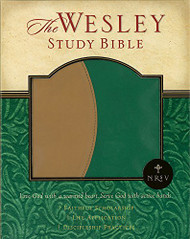 New Revised Standard Version Wesley Study Bible