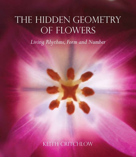 Hidden Geometry Of Flowers