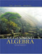 Beginning Algebra