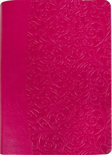 Everyday Life Bible