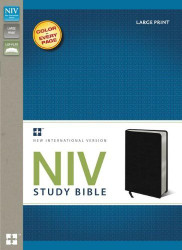 NIV Study Bible Large Print Bonded Leather Black Red Letter Edition