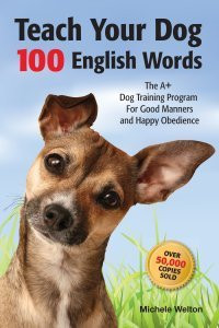 Teach Your Dog 100 English Words