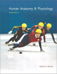 Human Anatomy And Physiology