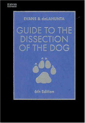 Guide To The Dissection Of The Dog