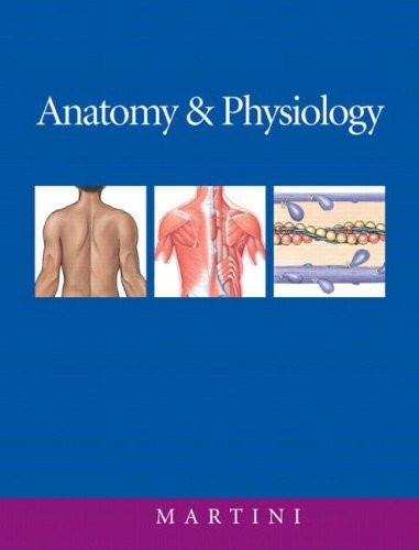 Anatomy And Physiology Anatomy And Physiology