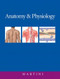 Anatomy And Physiology Anatomy And Physiology