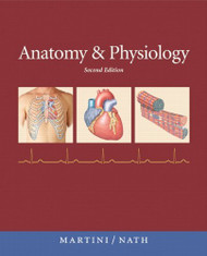 Anatomy And Physiology