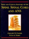 Basic And Clinical Anatomy Of The Spine Spinal Cord And ANS