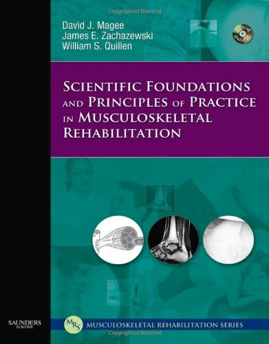 Scientific Foundations And Principles Of Practice In Musculoskeletal