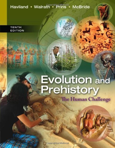 Evolution And Prehistory