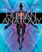 Human Anatomy