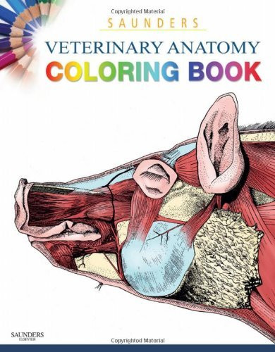 Veterinary Anatomy Coloring Book