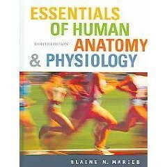 Essentials Of Human Anatomy And Physiology
